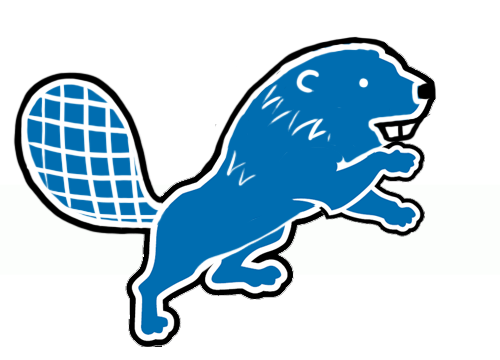 Detroit Lions Canadian Logos fabric transfer